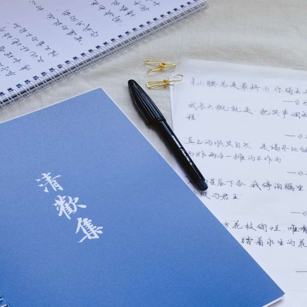 13号海洋文创 冉方手写字帖成人学生行书行楷钢笔硬笔临摹练字本