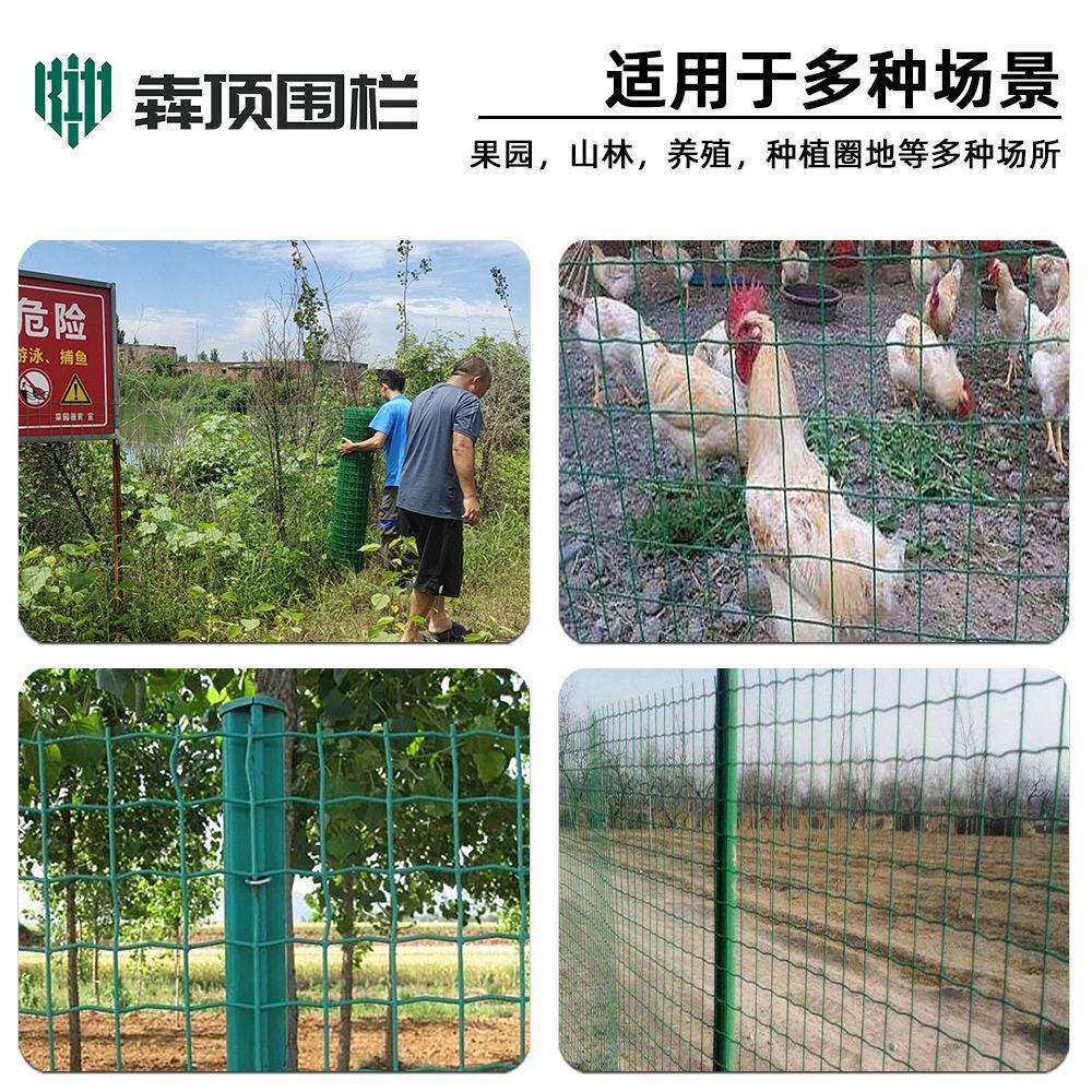 荷兰网养鸡鸭铁丝网铁栏场地护栏网果园圈地隔离钢丝网围栏网