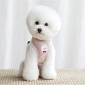 新款 泰迪小型犬宠物胸背带狗链遛狗绳用 直销直供狗狗牵引绳背心式