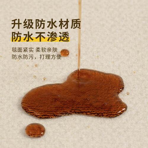 地客厅卧2026新防水免洗可擦床款边毯免打理沙发房间家用地垫qr20