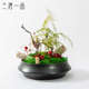 新中式 禅意花艺摆件 仿真苔藓微景观植物小盆栽样板间茶几茶室日式