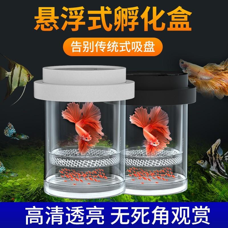 孵化器疯狂水草孔雀繁殖孵化器