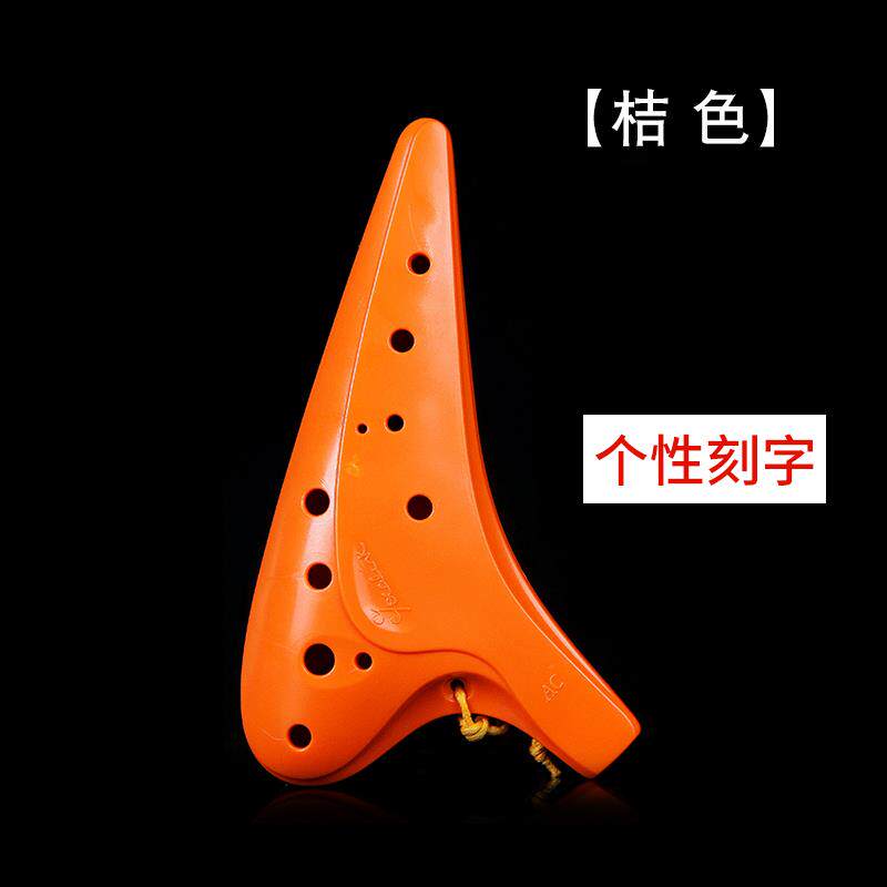 正品雅陶A陶笛乐器12孔 塑胶陶笛 小风学生专用12孔C调笛初学者