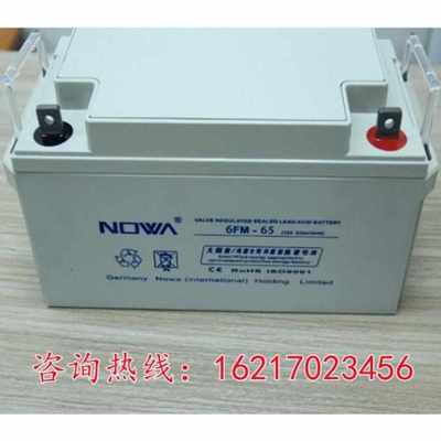 NOWA诺华蓄电池6-FM-100/12V7a9a17a24a38a40a65a100ah120ah150ah