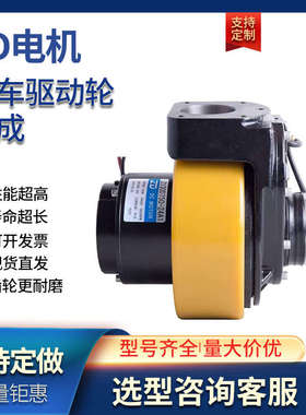 ZD中大电动叉车驱动轮总成诺力海博储力西林杭叉转向电机维修配件