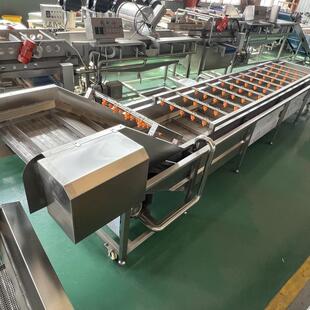 果蔬气泡清洗机樱桃桃子清洗设备厂家学校食堂不锈钢果蔬清洗机