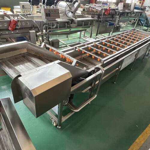 果蔬气泡清洗机樱桃桃子清洗设备厂家学校食堂不锈钢果蔬清洗机