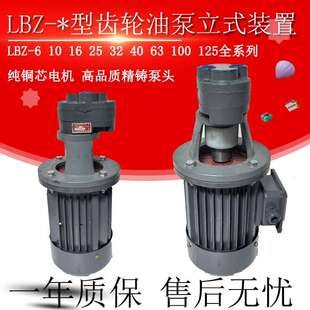 齿轮油泵电机装 置LBZ LBZ 25立式