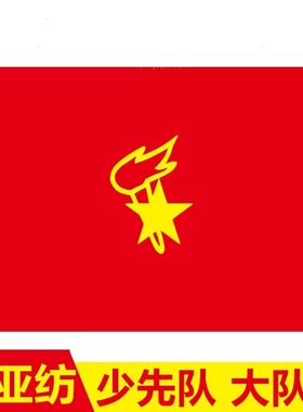 导游旗三角旗长方形红色蓝色绿色黄色户外30X45CM手摇旗旅游旗导