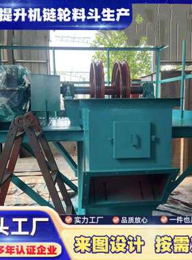 NE小型斗式提升机环链水泥沙子垂直上料机矿用板链斗提升机