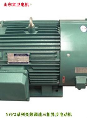 山东源头厂家直供 YVF2-225M-4/45KW 变频调速三相异步电动机