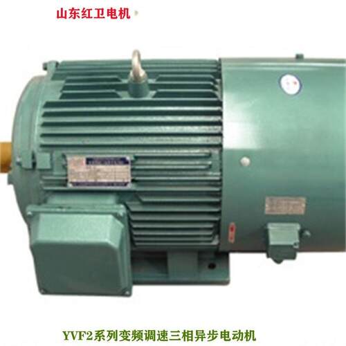 山东源头厂家直供YVF2-225M-4/45W变频调速三相异步电动机