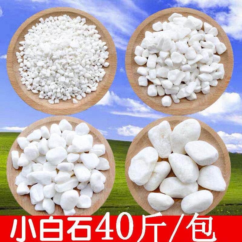 40斤装小白石子铺路雨花石原石天然鹅卵软暖石鱼缸造景多肉铺面石