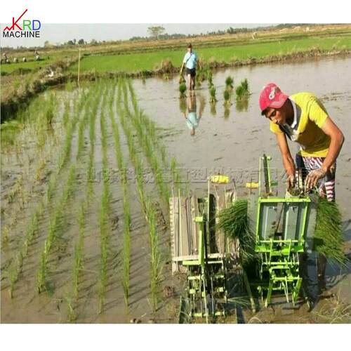 小型农用手摇式插秧机 稻谷苗栽 双行人力步退市插秧设备