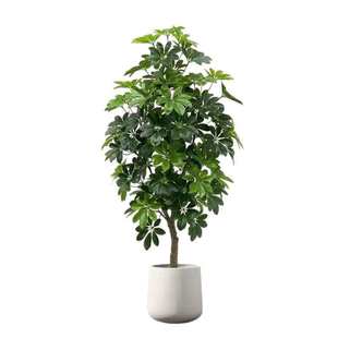 植物盆栽假绿植客厅轻奢仿真绿植室内装 饰树落地假花大型仿真盆栽