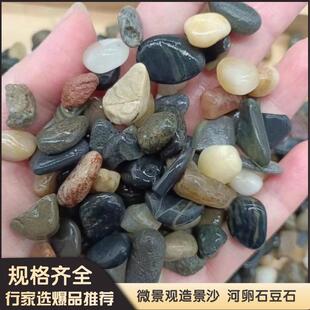 天然河沙溪流沙鹅卵石原生水族鱼缸水草缸多肉铺面小石子过滤豆石