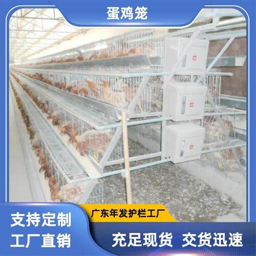 广州工厂出口非洲蛋鸡笼阶梯式四层四门养128只蛋鸡笼具铁丝网笼