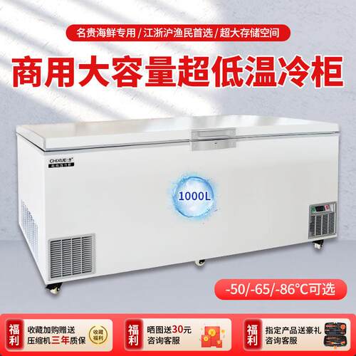 热卖款驰雪1000升冰柜超大容量超低温冷柜冰箱冷藏商用