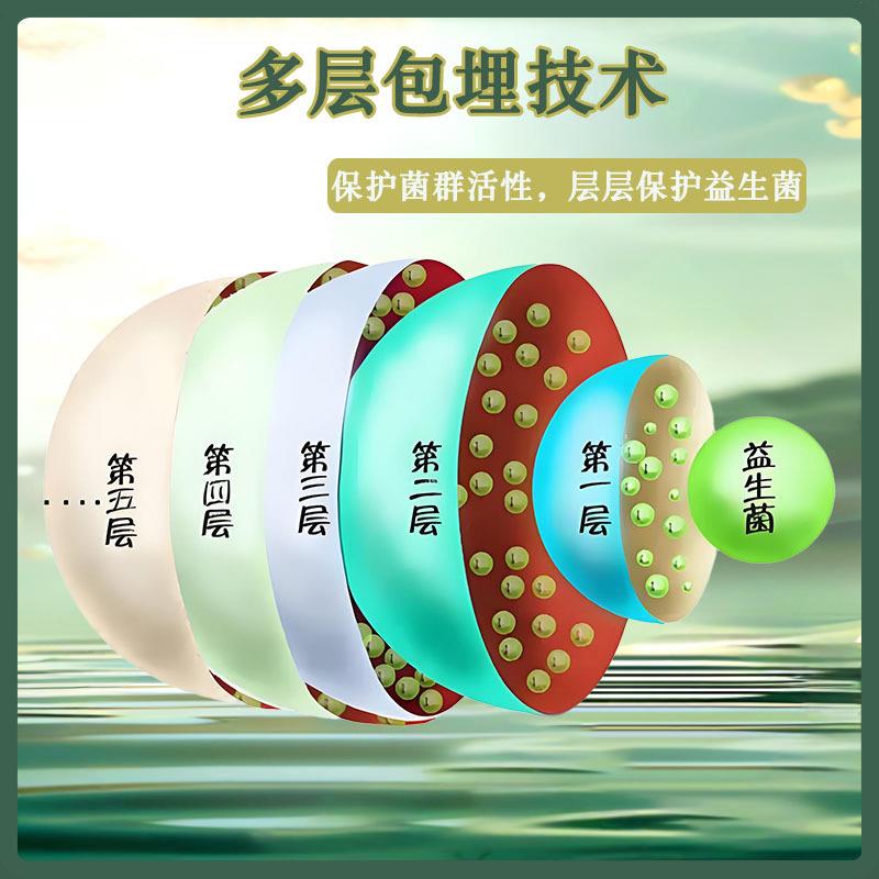 保加利亚乳杆菌100亿益生菌冻干粉乳酸菌固体饮料原料西安