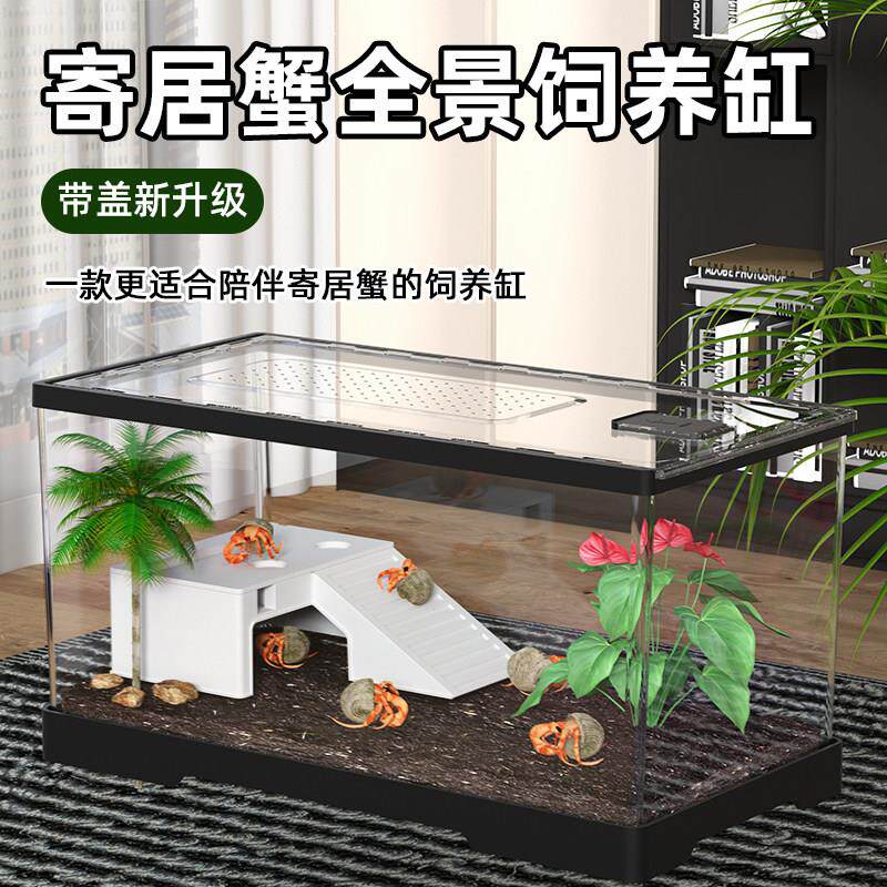 螃蟹缸造景小别墅饲养箱寄居蟹小宠物压克力带爬台躲避乌龟饲养缸