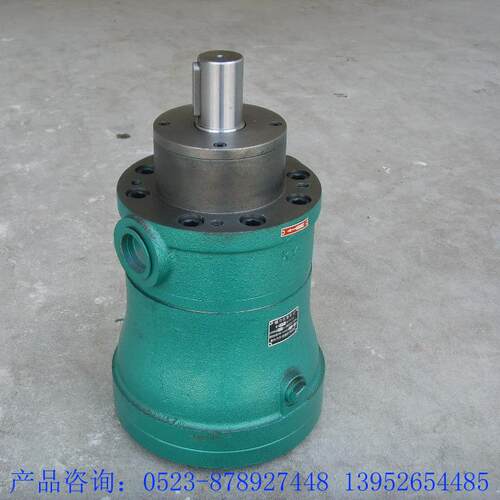 2.5 5 10MCY14-1B定量轴向柱塞泵及泵电机组装置