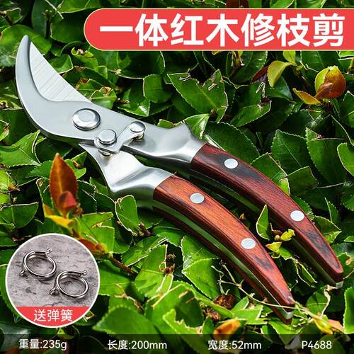 全钢红木柄家用修枝剪园艺省力花艺园林果树修剪树枝修花大剪刀