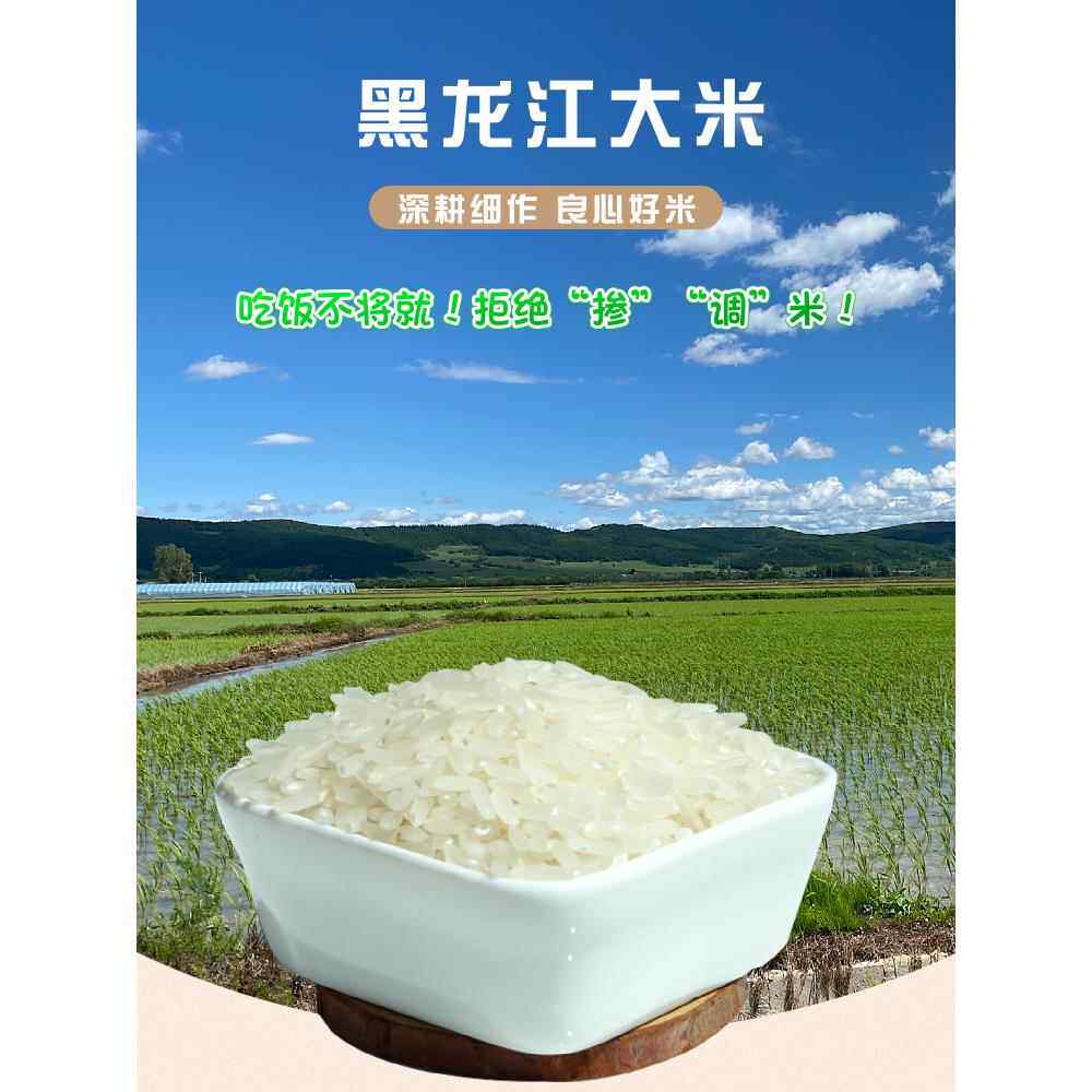 2023东北黑龙江牡丹江响水石板粥米珍珠米长粒香稻花香米10斤袋装