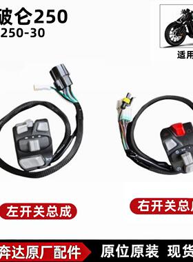 奔达拿破仑250-30左右开关总成机车点火闸把方向灯控制按钮插头