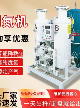 高纯度制氮机氮气机食品PSA双塔式变压吸附氮气设备食品制氮机