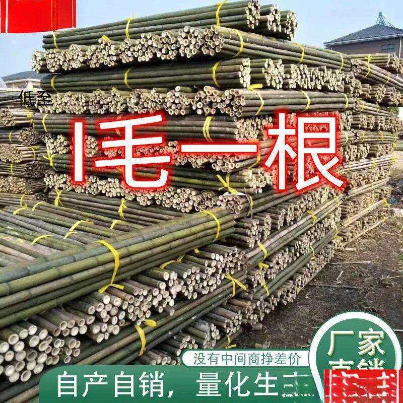 竹竿子搭架竹架子竹子杆菜园竹竿豆角黄瓜西红柿瓜果蔬菜爬藤架杆