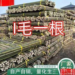 竹竿子搭架竹架子竹子杆菜园竹竿豆角黄瓜西红柿瓜果蔬菜爬藤架杆