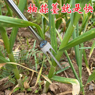 抽蒜苔神器不锈钢材质蒜薹刀拔揪剥刮蒜苔工具家用收割蒜苔刀 新款