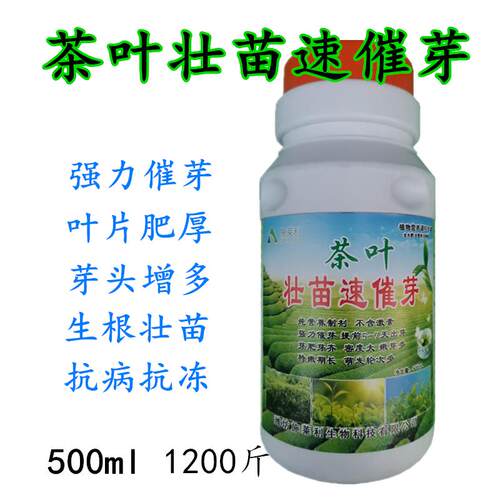 茶叶壮苗速催芽强力催芽素芽头增多叶片肥厚抗病生长精正品叶面肥