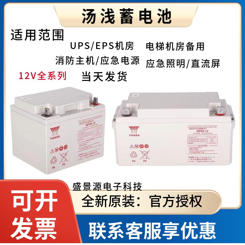 汤浅蓄电池NP100-12 12V100AH12V6H12V120AH38AH24AH15H200AH
