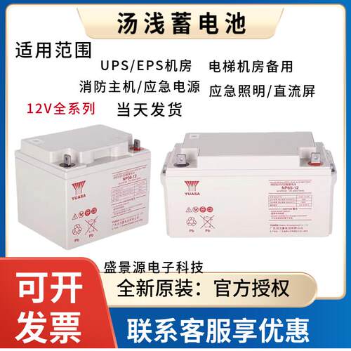 汤浅蓄电池NP100-12 12V100AH12V6H12V120AH38AH24AH15H200AH