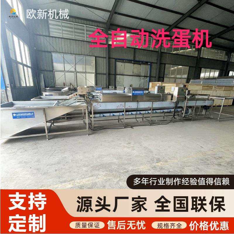 单双排全自动蛋品清洗机鸡蛋鸭蛋洗蛋机器鸡蛋清洗光检灭菌一体机
