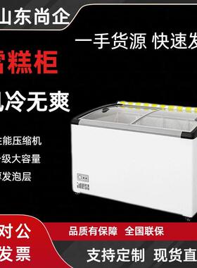 商用冰柜大容量保鲜冷藏冷冻家用超大卧式双温冰箱冷柜雪糕冰柜