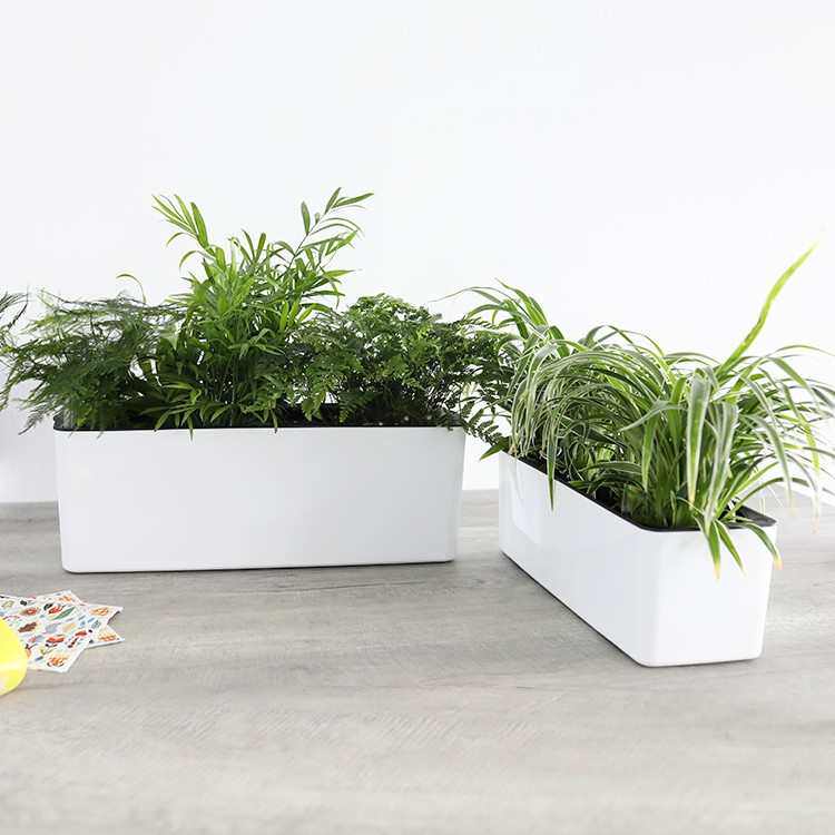 长方形花盆塑料加厚种菜盆草莓盆长条型阳台专用懒人花盆自动吸水