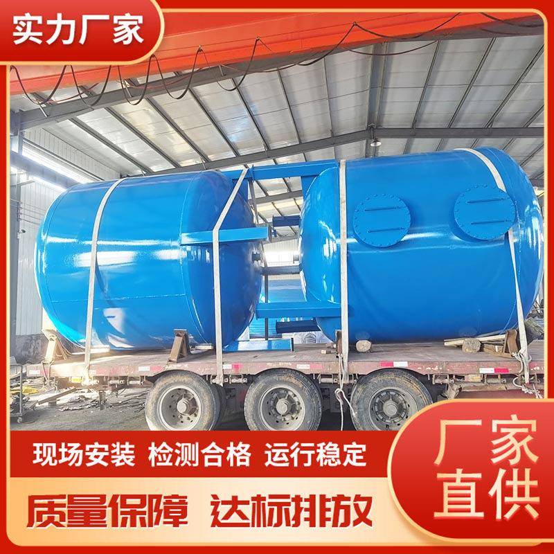 地下水除铁锰过滤器铁锈异味净化家用井水浑浊重金属锰砂过滤设备