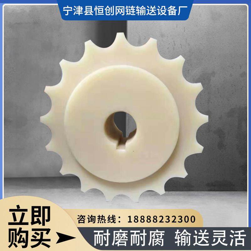 尼龙炼轮齿轮POM高分子耐磨损网带塑料齿轮精密双排工业传动炼轮,五金/工具,齿轮,淘宝优惠券,粉丝福利购,淘宝优惠卷