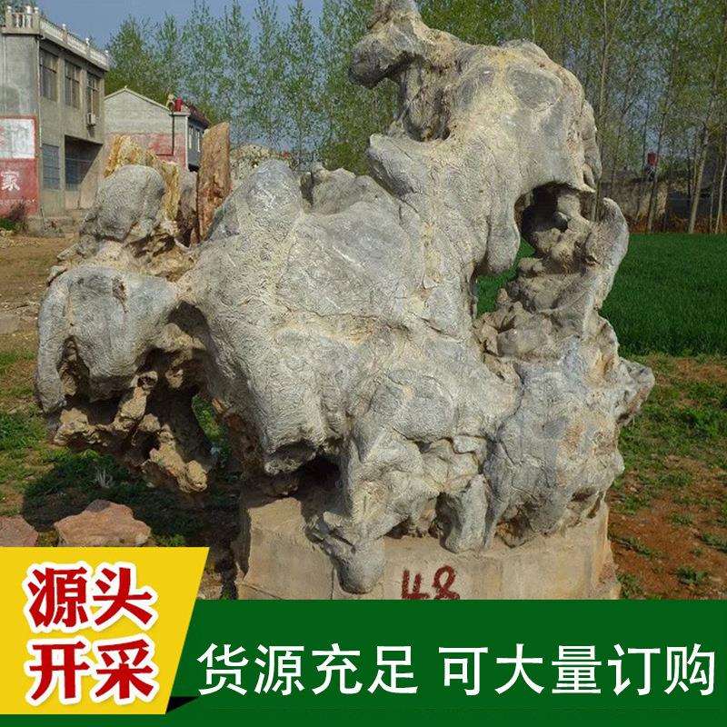 灵璧产地景观石天然大型园林观赏造景石山水动物大小型精品景观石