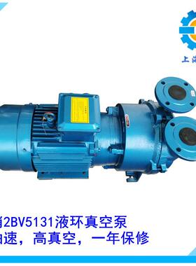 供应2BVA5131水环式真空泵2bv液环真空泵大抽速高真空一年保修
