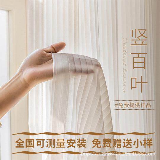 竖百叶 隔热 防紫外线纱帘梦幻帘窗帘客厅卧室阳台白纱透光不透人