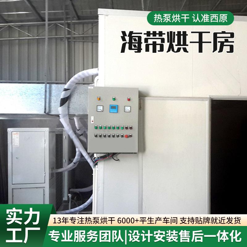 全自动带型海烘干机海加带丝海带海苔烘干箱大电热PXA海带片烘干