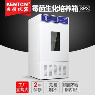 生化霉菌培养箱细菌微生物恒温培养箱低温培养箱实验室