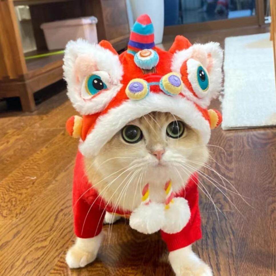 宠物新年虎头帽子秋冬季保暖狗狗猫咪搞怪变身头套头饰用品