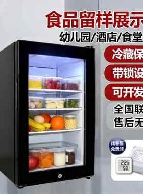 带锁食品留样专用柜学校幼儿园食堂小型保鲜冰箱家商用冷藏展示柜