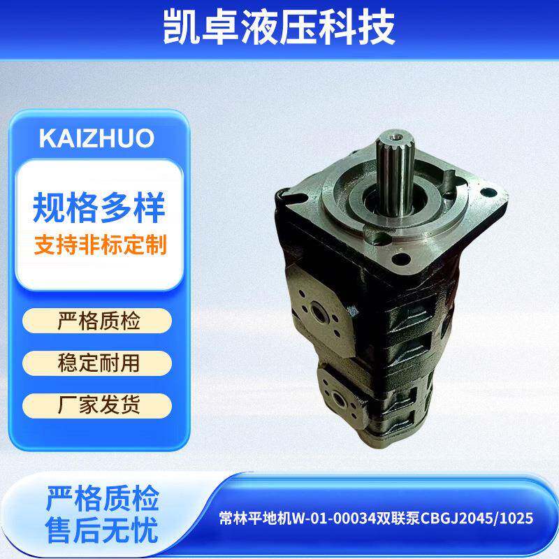 机械配件液高压齿轮油泵常林平地机W-01-00034双联泵CBGJ20451025