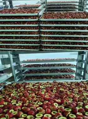 生酶F物D冻干EEP机品 东洋技研冻干技术 葱新绿花菜真空冷冻干青