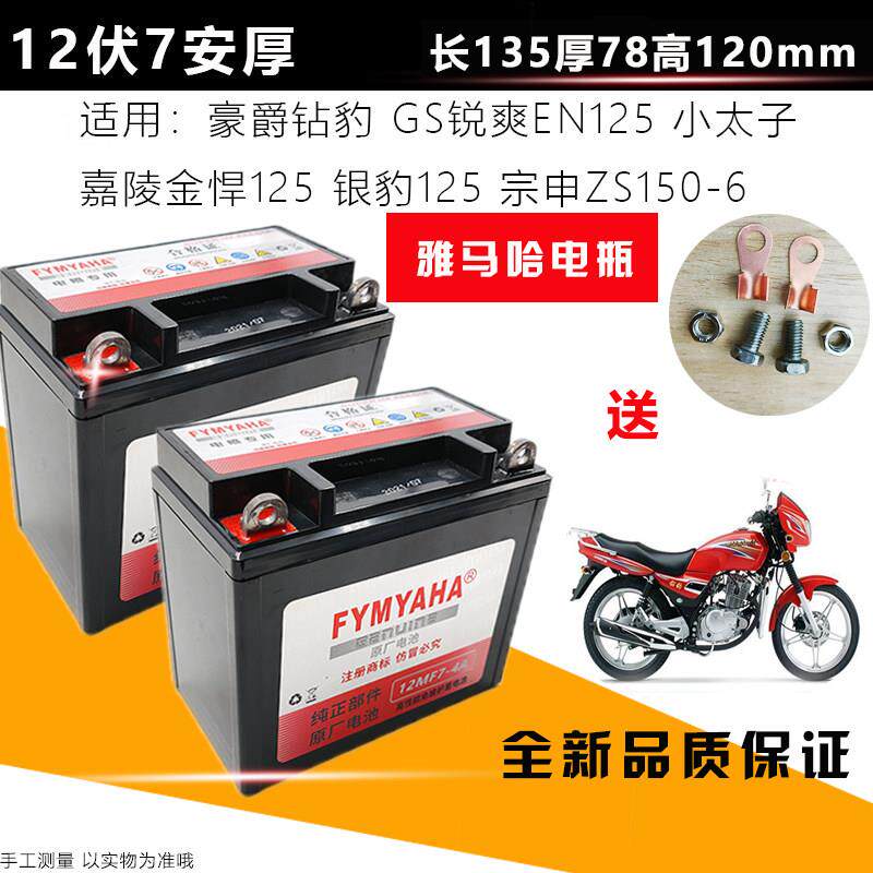 钱江机车125/150通用电瓶钱江太子 金刚御龙12V7A免维护蓄电池